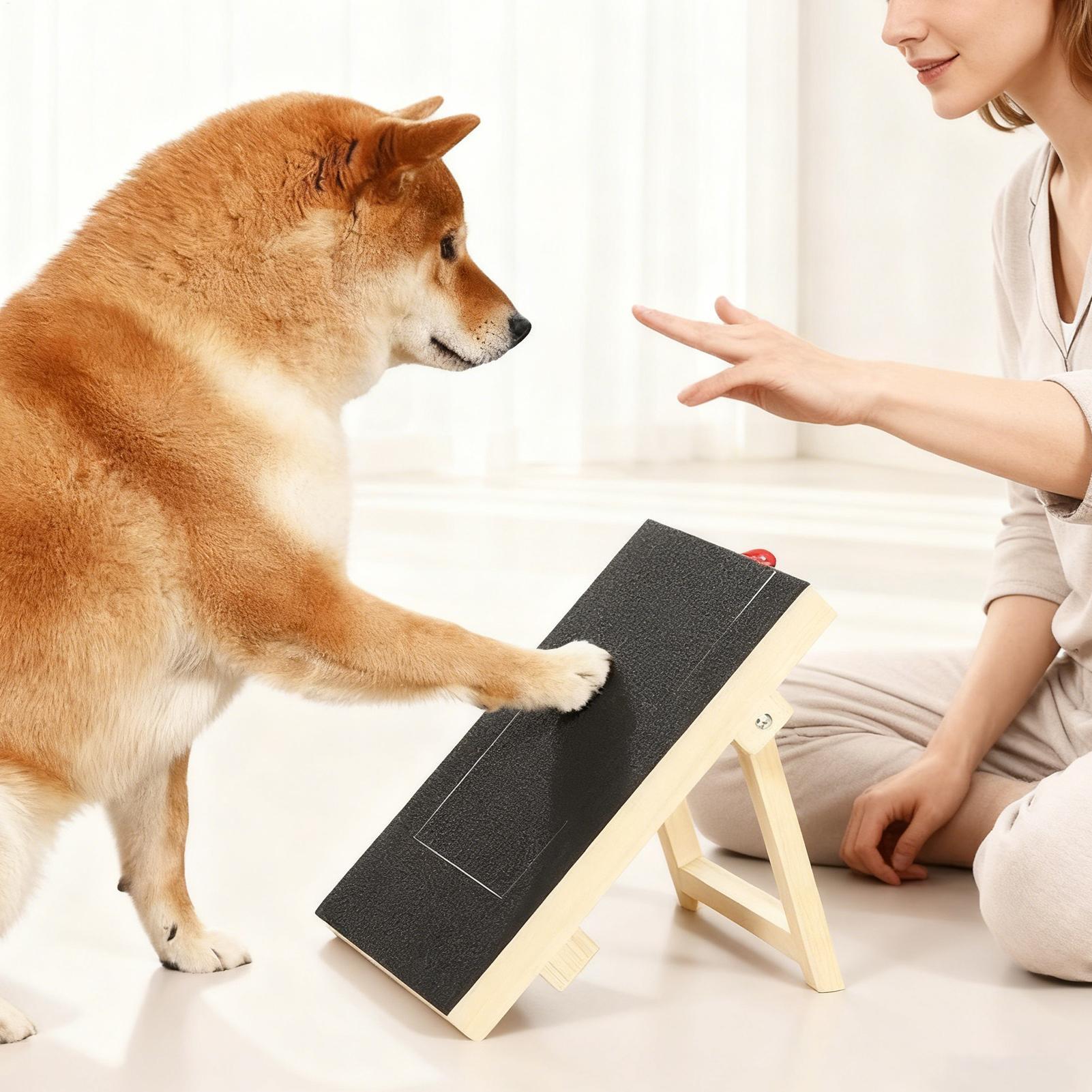 Dog Nail File Board with Pull- - đánh giá và giá Woodworking Magazine
